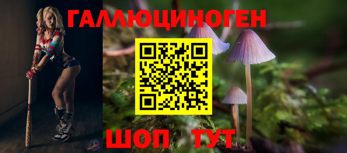 Псилоцибиновые грибы Cubensis  Вход с VPN  Когалым 